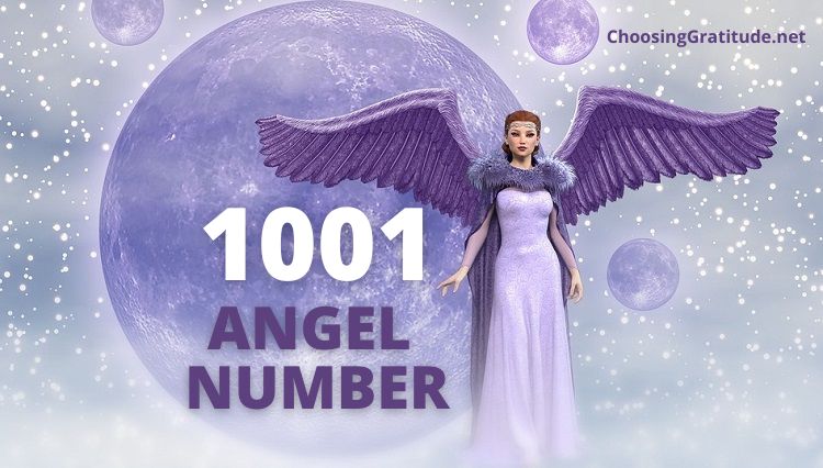 1001 Angel Number Meaning Twin Flame