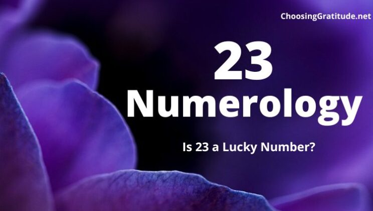 23 Numerology Meaning – Is 23 a Lucky Number?