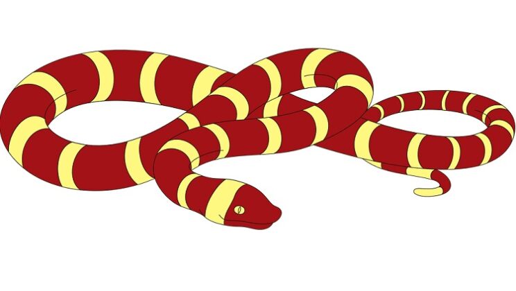 Red Snake – Spiritual and Dream Meaning
