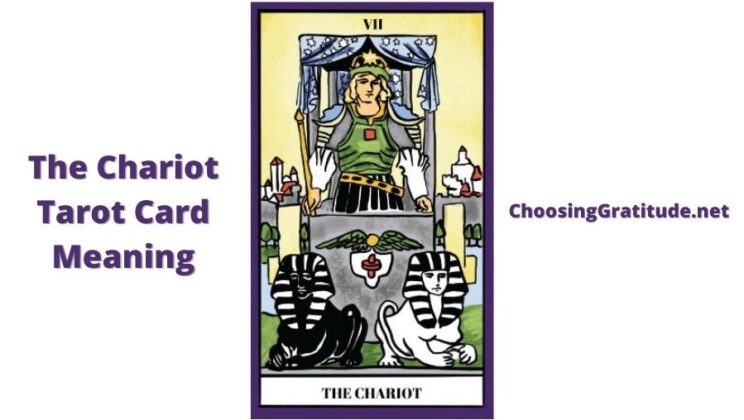The Chariot Tarot Card – Meaning, Reversed, Guide, Love