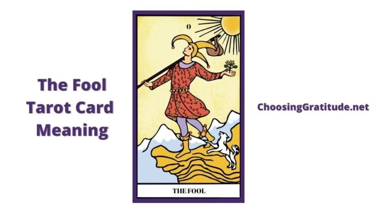 The Fool Tarot Card – Meaning, Reversed, Guide, Love