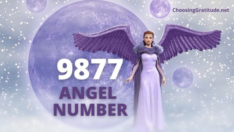 9877 Angel Number: Meaning & Twin Flame