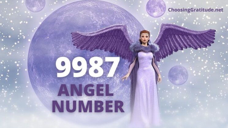9987 Angel Number: Meaning & Twin Flame