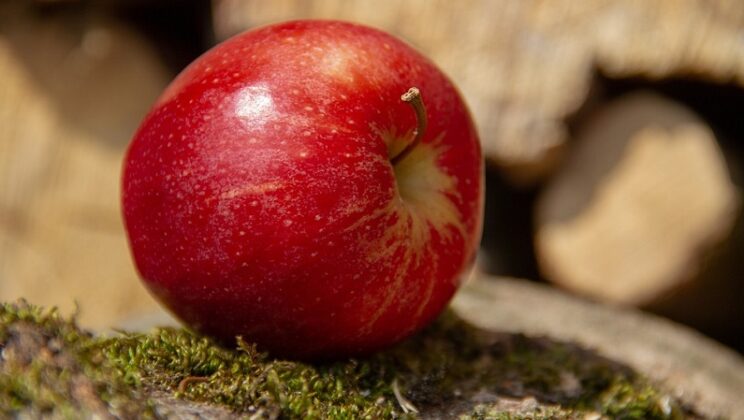 Apple Dream – Biblical and Spiritual Meaning