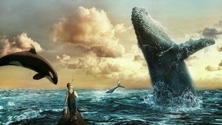 Dream About Whale – Biblical and Spiritual Meaning