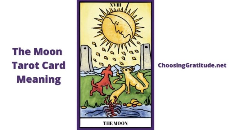 The Moon Tarot Card – Meaning, Reversed, Guide, Love