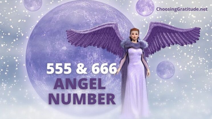 Seeing 555 and 666 Angel Number – Meaning