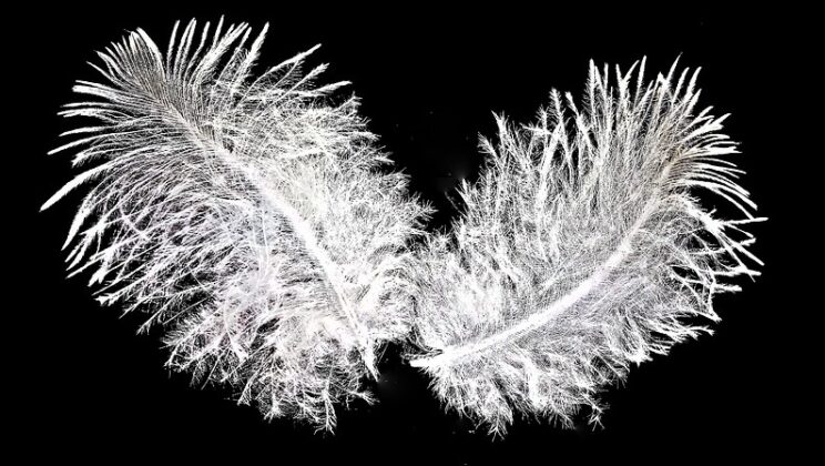 Spiritual Meaning of Two Feathers Tied Together